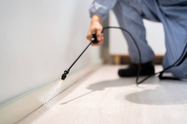 Licensed Pest Control service in Fairview, OR - Show Me Pest Control