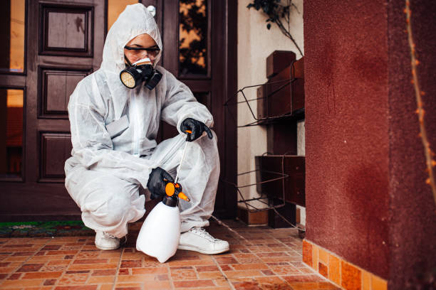Reliable Mosquito Control contractor in Fairview, OR by Show Me Pest Control